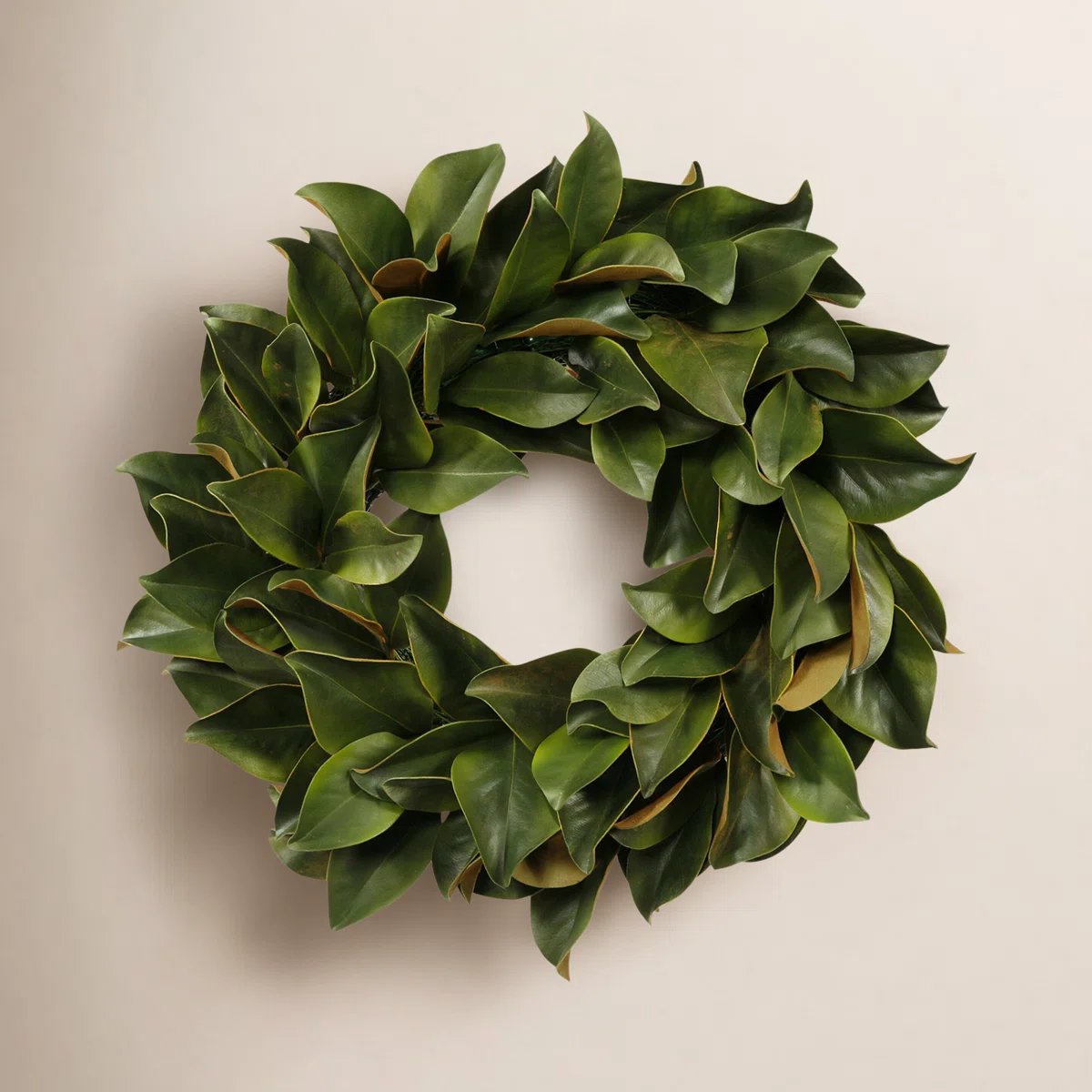 Winward Silks 24" Magnolia Leaf Wreath – Green Artificial Seasonal Home Decor Wreath, Circle-Shaped