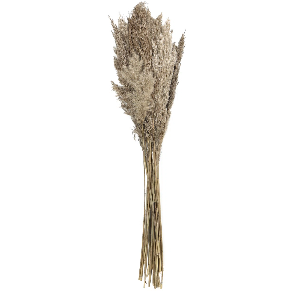 Natural-Look Brown Artificial Dried Floral Stem 35.43 Tall Decorative Botanical Accent